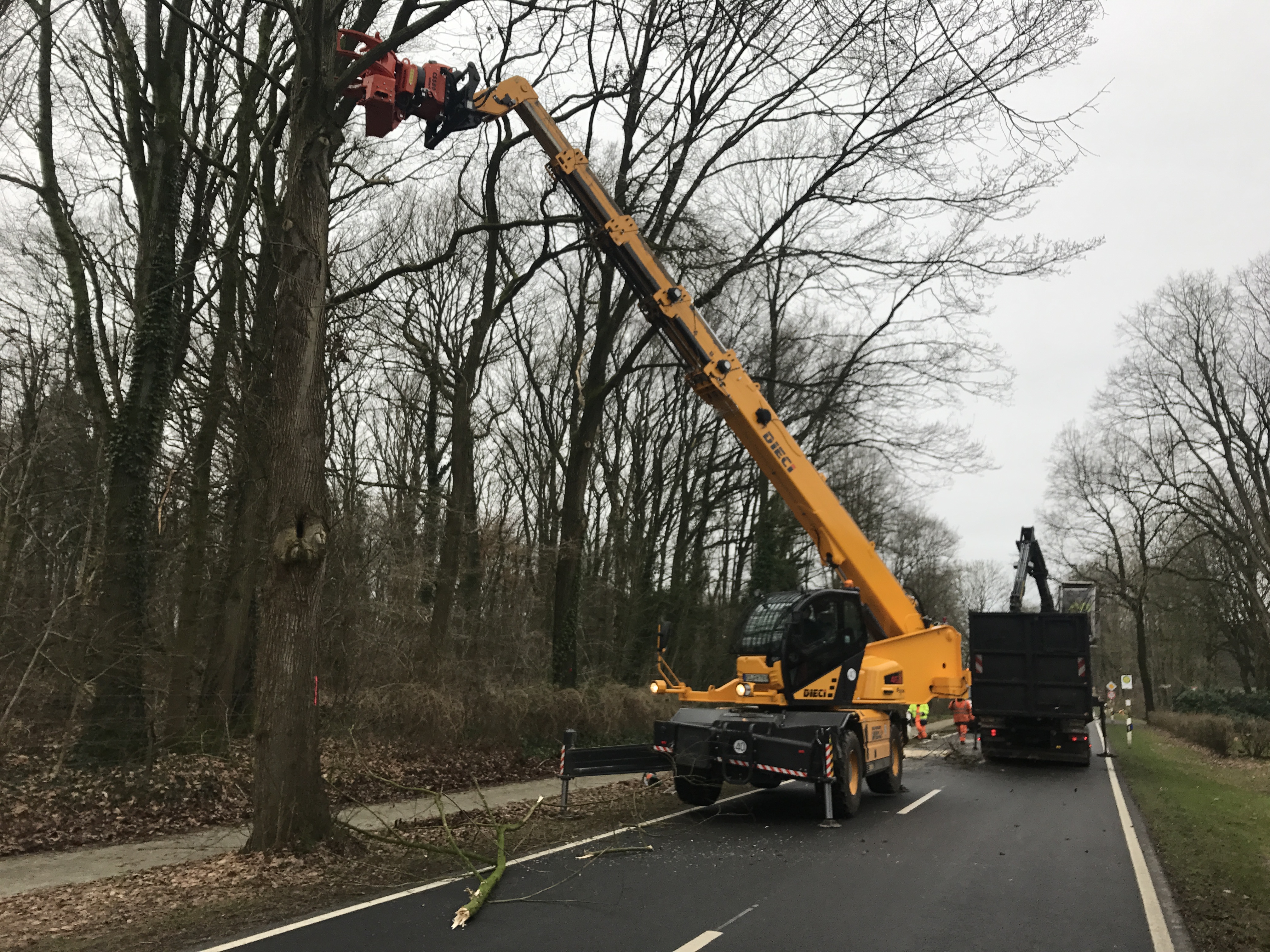 Baustelle Stade
F&auml;llung von 1300 Stra&szlig;enb&auml;umen 